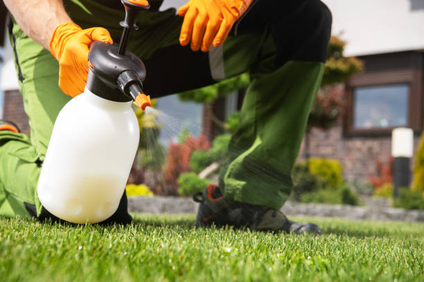 Best Termite Control Services  in North Enid, OK