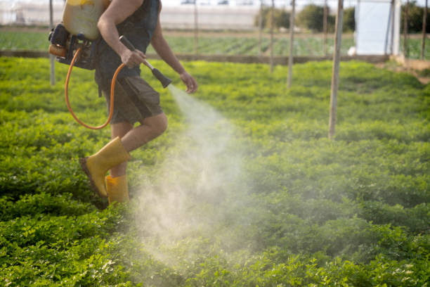 Best Pest Prevention Services  in North Enid, OK