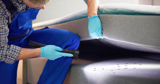 Best Flea Control Services  in North Enid, OK