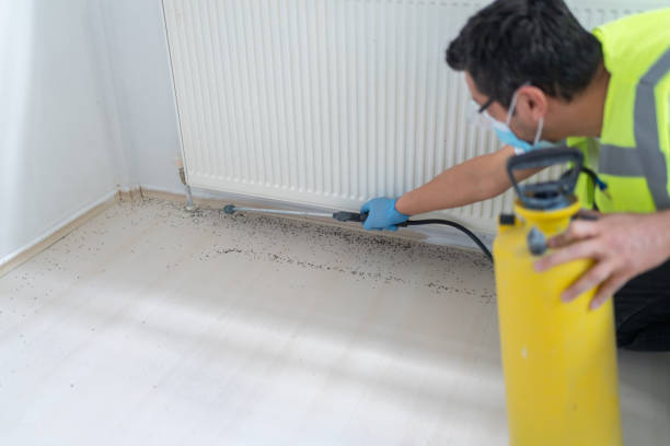 Best Wasp Removal Services  in North Enid, OK