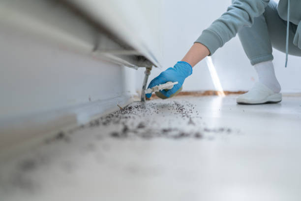 Best Pest Control Near Me  in North Enid, OK