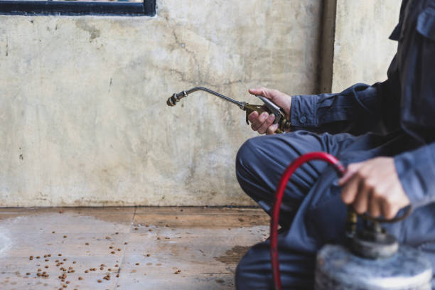 Best Mosquito Control Services  in North Enid, OK