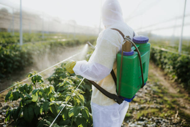 Best Best Pest Control Near Me  in North Enid, OK